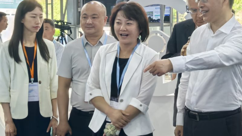 非标轴承材质选择：关键因素与实际应用